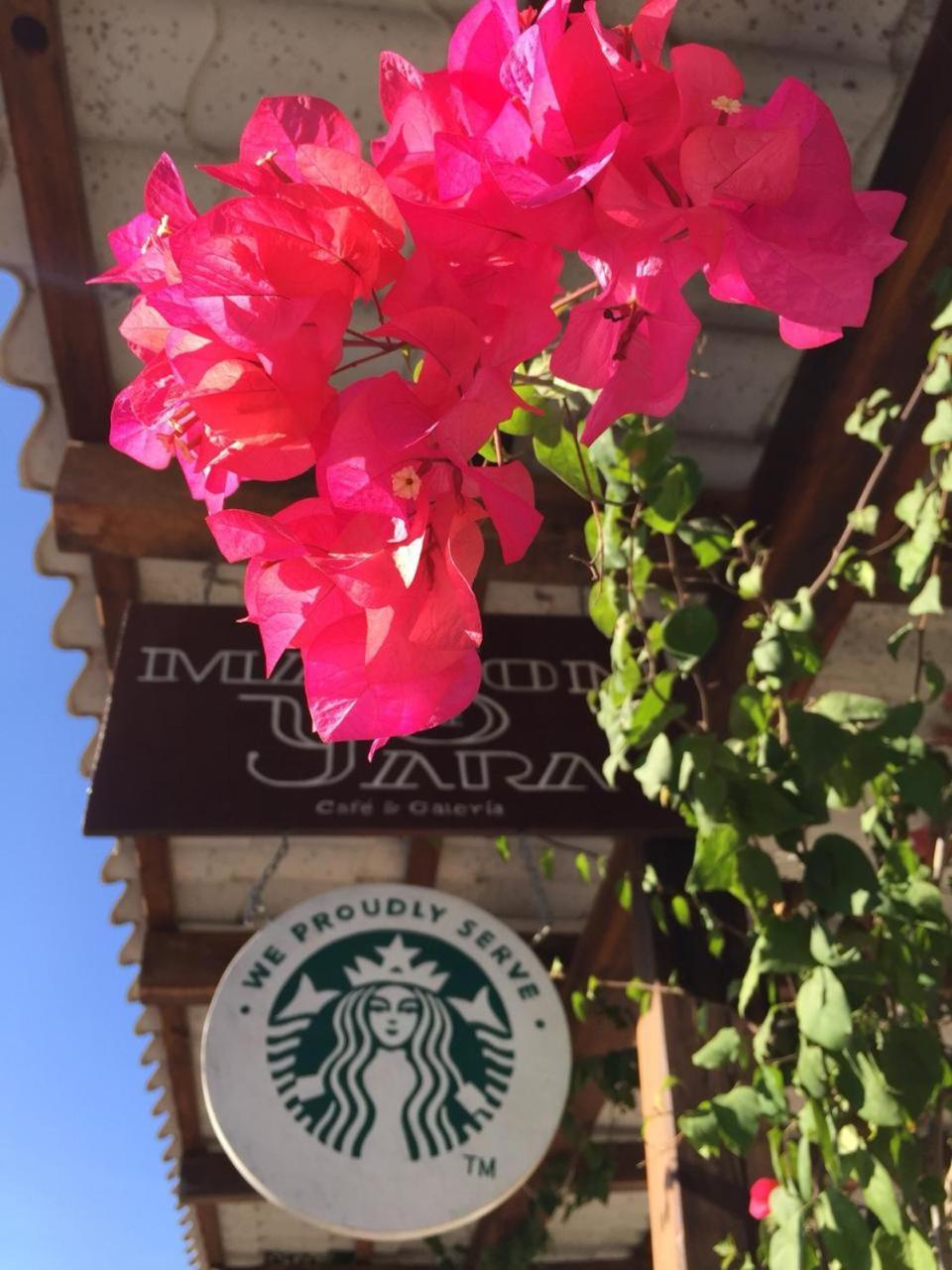 Toto Blue Hotel Boutique باكالار المظهر الخارجي الصورة